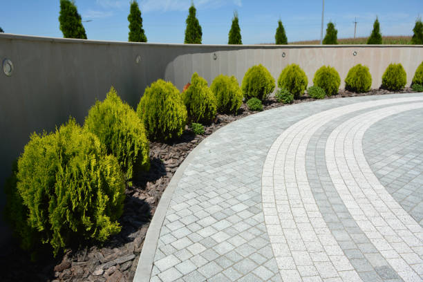 Best Brick Driveway Pavers  in Federalsburg, MD